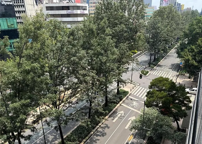 Md Chapultepec Roma Norte Apartamento